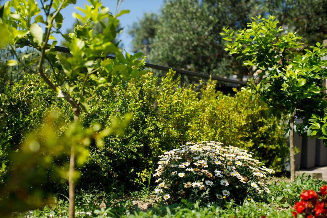 Casa Del Saraceno Villa Massa Lubrense Eksteriør billede